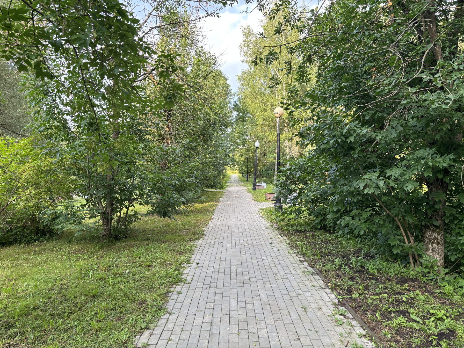 Юных москвичей зовут на ботаническую викторину